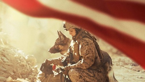 Megan Leavey - Hạ Sĩ Megan - Hình 4